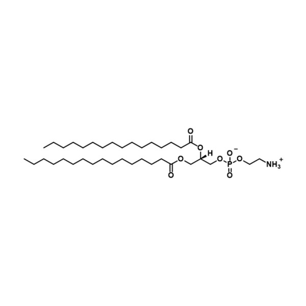 二棕榈酰基磷脂酰乙醇胺