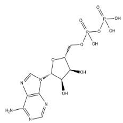 58-64-0Adenosine-5'-diphosphate