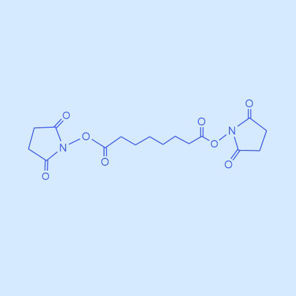 二(N-羟基琥珀酰亚胺)辛二酸酯