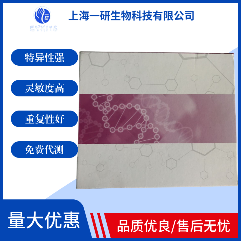 猪肺炎支原体(MHP)核酸检测试剂盒