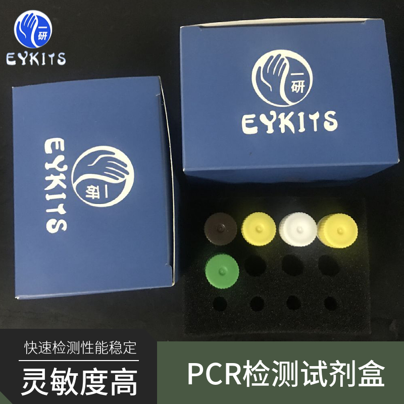 无齿类圆线虫PCR检测试剂盒