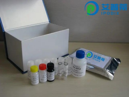 人足细胞标记蛋白/足盂蛋白（PCX）Elisa试剂盒