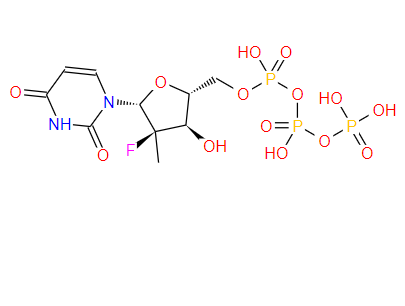 2'-deoxy-2'-α-fluoro-2'-β-C-methyl-U-TP