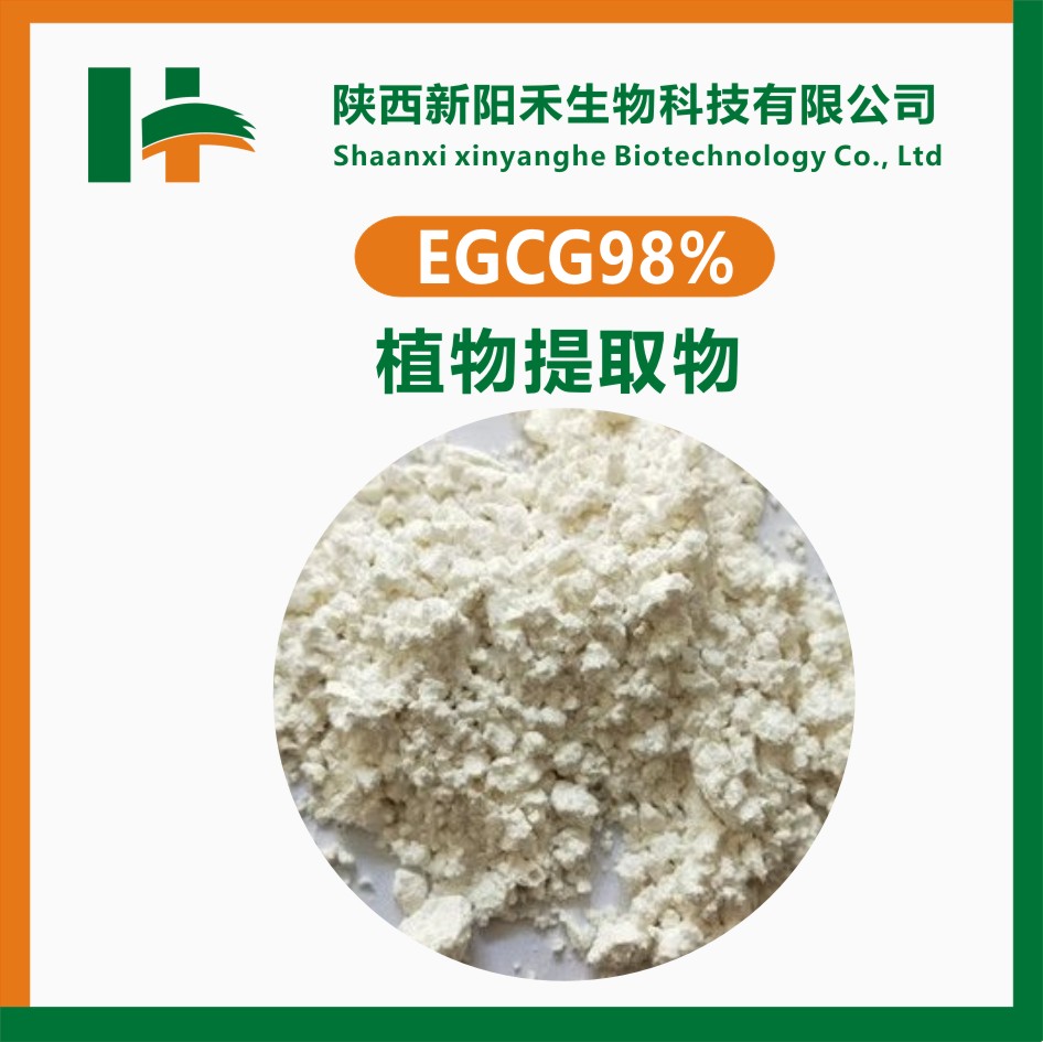 儿茶素 EGCG 98% 表没食子 没食子酸酯 989-51-5