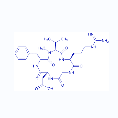西伦吉肽/188968-51-6/Cilengitide/cyclo(RGDf-N(Me)V-)