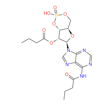 二丁酰环磷腺苷钙盐