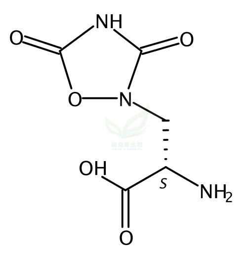 使君子氨酸   L-Quisqualic Acid  52809-07-1