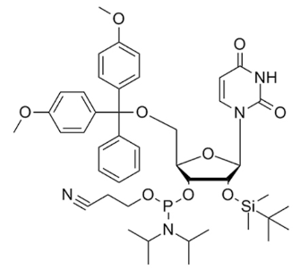 2'-TBDMS-RU 亚磷酰胺单体