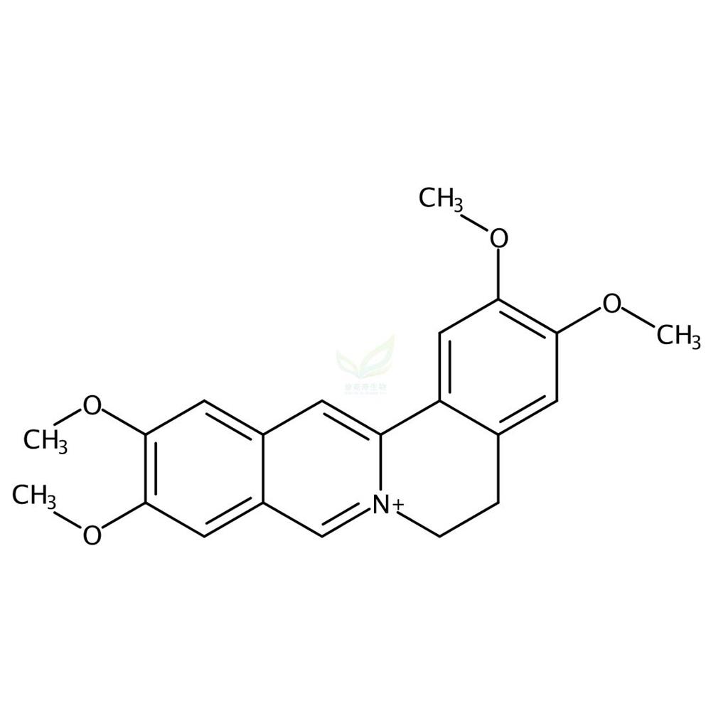 假巴马汀碱  Pseudopalmatine 19716-66-6