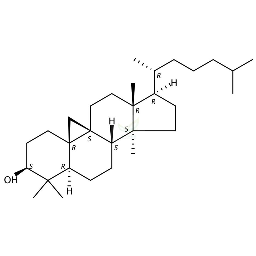 环木菠萝烷醇  Cycloartanol  4657-58-3