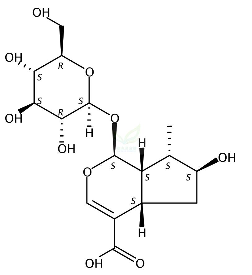 8-表马钱子酸  8-Epi-Loganic acid 82509-41-9