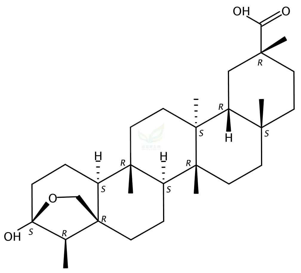 大子五层龙酸   Salaspermic acid 