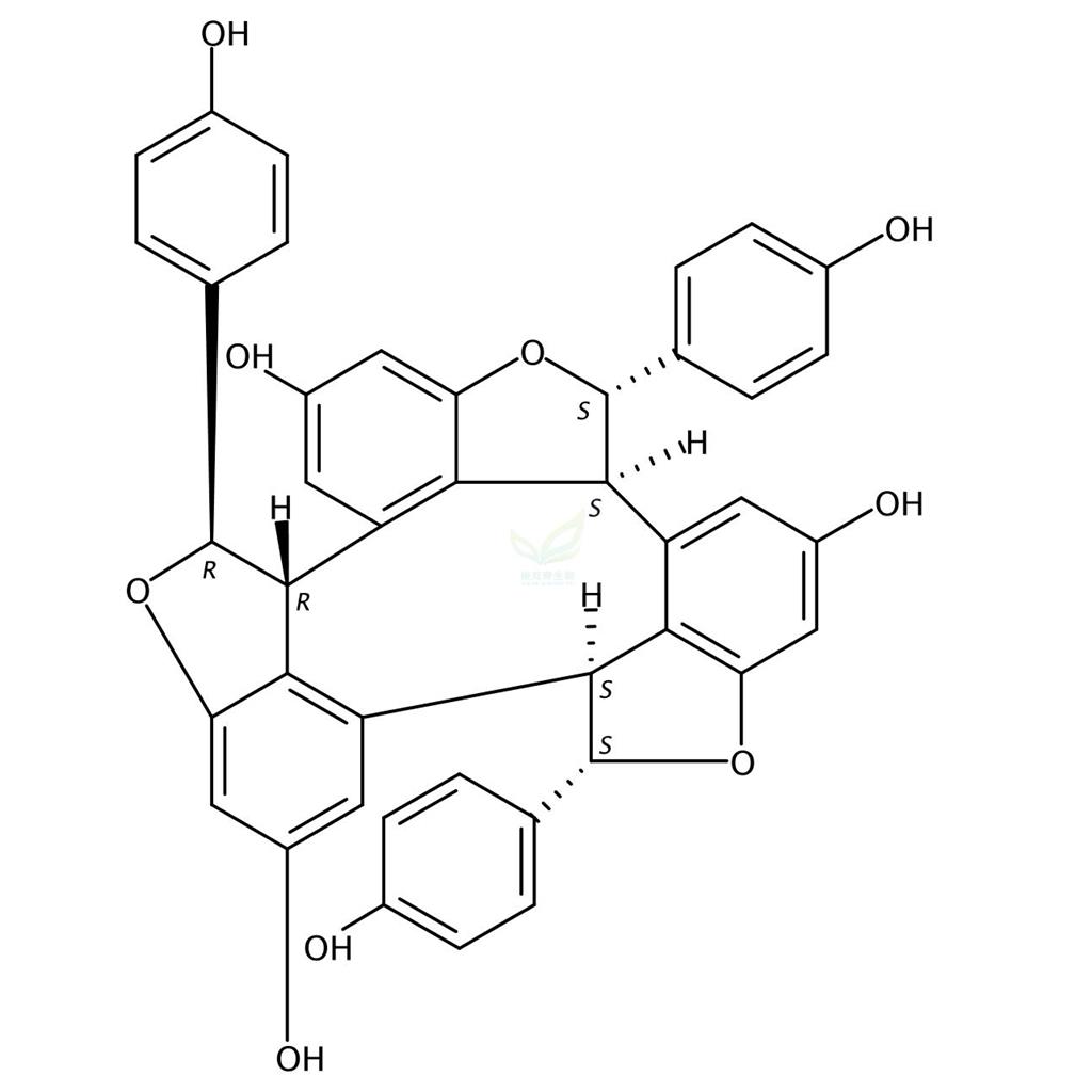 Alpha-葡萄素  alpha-Viniferin   62218-13-7
