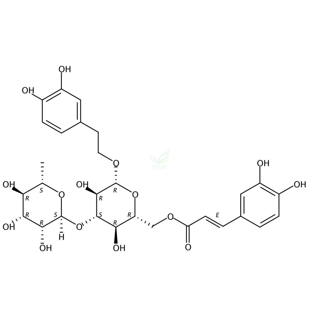 异类叶升麻苷  Isoacteoside  61303-13-7