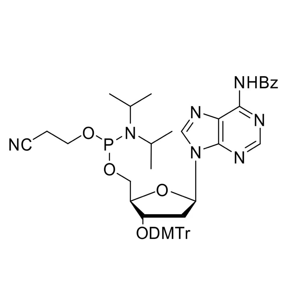 N-苯甲酰基-5'-O-[(二异丙基氨基)-(2-氰基乙氧基)氧磷基]-3'-O-(4,4'-二甲氧基三苯甲基)-2'-脱氧腺苷