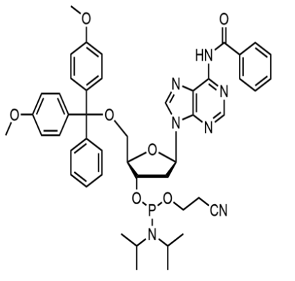 N6-苯甲酰基-5'-O-DMT-脱氧腺苷-3'-氰乙氧基亚磷酰胺 98796-53-3