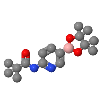 6-新戊酰氨基吡啶-3-硼酸频哪醇酯;1092119-20-4