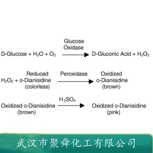 葡萄糖氧化酶 9001-37-0 抗氧化剂 护色剂  酶制剂