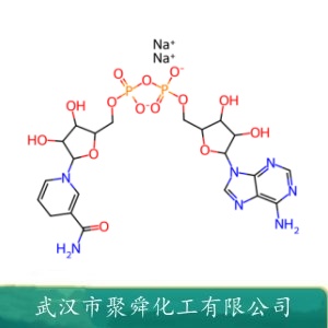 beta-烟酰胺腺嘌呤二核苷二钠 606-68-8 再生性给电子体