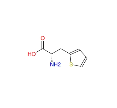 L-3-(2-噻吩基)丙氨酸 22951-96-8