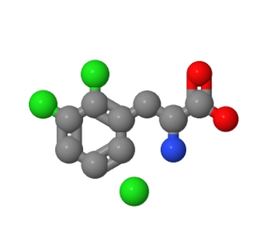 2-AMINO-3-(2,3-DICHLOROPHENYL)PROPANOIC ACID 128833-94-3