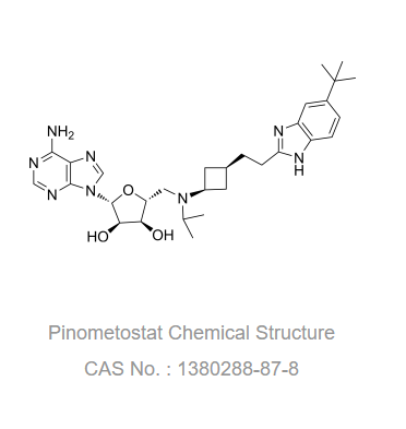 Pinometostat (EPZ-5676) 是有效的DOT1L组蛋白甲基转移酶抑制剂