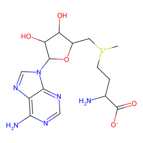 aladdin 阿拉丁 S107408 S-腺苷甲硫氨酸对甲苯磺酸盐 17176-17-9 80%
