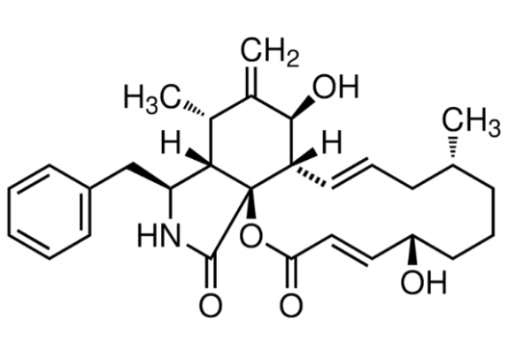 aladdin 阿拉丁 C113160 细胞松弛素B 14930-96-2 98%