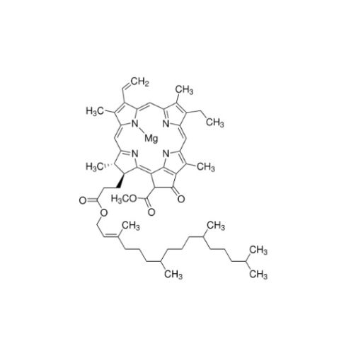 aladdin 阿拉丁 C109269 叶绿素A 479-61-8 ≥85.0% (HPLC)