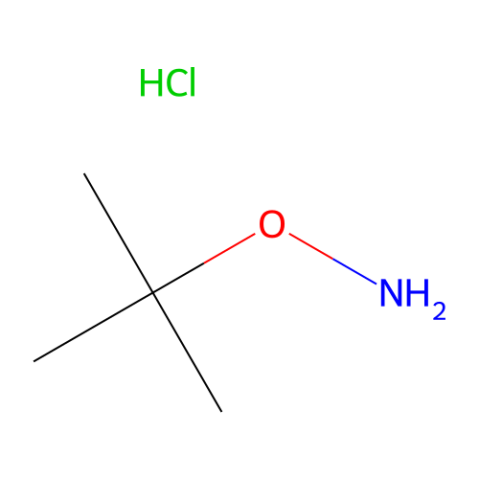 aladdin 阿拉丁 O135125 O-叔丁基羟胺 盐酸盐 39684-28-1 ≥98%