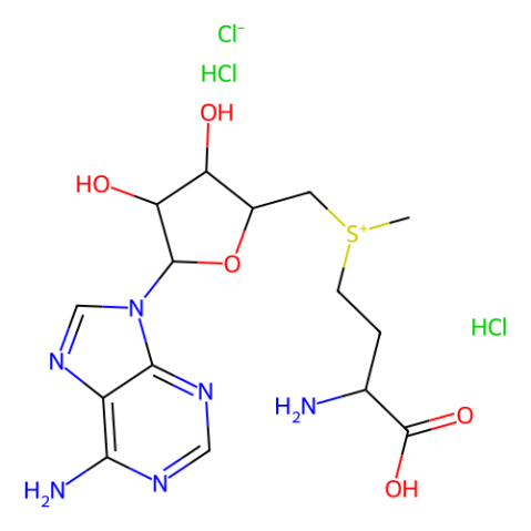 aladdin 阿拉丁 S139354 S-(5′-腺苷)-L-甲硫氨酸氯化物 二盐酸盐 86867-01-8 ≥75%