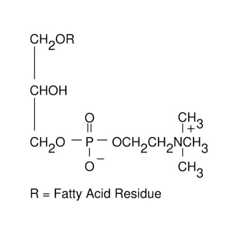 aladdin 阿拉丁 L339698 L-α-溶血磷脂酰胆碱（来自蛋黄） 9008-30-4 ≥99%, Type I, powder