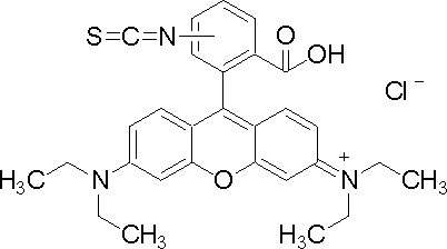 aladdin 阿拉丁 R105502 异硫氰酸罗丹明B 36877-69-7 mixture of isomers
