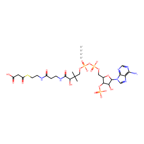 aladdin 阿拉丁 M332319 丙二酰辅酶A四锂盐 116928-84-8 ≥90%