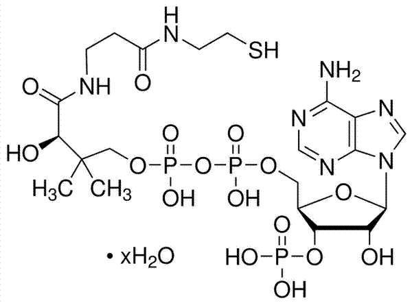 aladdin 阿拉丁 C130754 辅酶A水合物(游离酸) 85-61-0 ≥85% (HPLC)