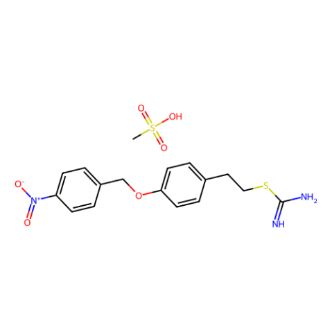 aladdin 阿拉丁 S161158 S-[4-[(4-硝基苄基)氧代]苯乙基]异硫脲甲磺酸盐 182004-65-5 >98.0%(HPLC)