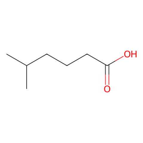 aladdin 阿拉丁 M483088 5-Methylhexanoic acid 试剂级