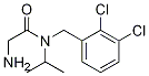 2-AMino-N-(2,3-dichloro-benzyl)-N-isopropyl-acetaMide 구조식 이미지