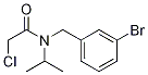 N-(3-BroMo-benzyl)-2-chloro-N-isopropyl-acetaMide Structure