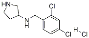 (2,4-Dichloro-benzyl)-pyrrolidin-3-yl-amine hydrochloride 구조식 이미지