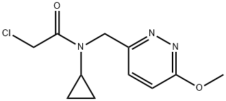 2-Chloro-N-cyclopropyl-N-(6-Methoxy-pyridazin-3-ylMethyl)-acetaMide Structure