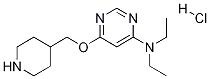 Diethyl-[6-(piperidin-4-ylMethoxy)-pyriMidin-4-yl]-aMine hydrochloride Structure