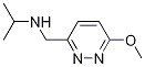 Isopropyl-(6-Methoxy-pyridazin-3-ylMethyl)-aMine 구조식 이미지