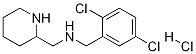 (2,5-Dichloro-benzyl)-piperidin-2-ylmethyl-amine hydrochloride 구조식 이미지