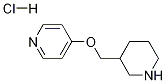 4-(Piperidin-3-ylmethoxy)-pyridine hydrochloride Structure