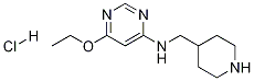 (6-Ethoxy-pyriMidin-4-yl)-piperidin-4-ylMethyl-aMine hydrochloride Structure