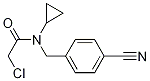 2-Chloro-N-(4-cyano-benzyl)-N-cyclopropyl-acetaMide 구조식 이미지