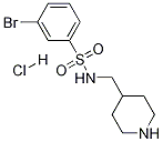 3-BroMo-N-piperidin-4-ylMethyl-benzenesulfonaMide염산염 구조식 이미지