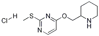 2-Methylsulfanyl-4-(piperidin-2-ylmethoxy)-pyrimidine hydrochloride 구조식 이미지