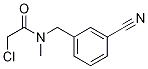 2-Chloro-N-(3-cyano-benzyl)-N-Methyl-acetaMide 구조식 이미지